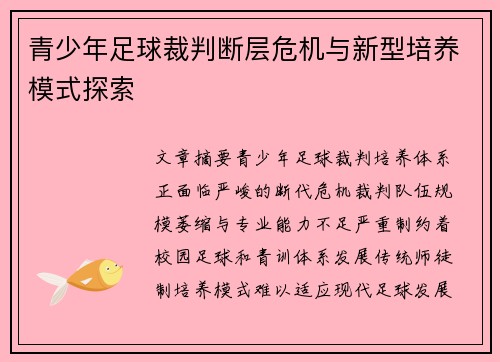 青少年足球裁判断层危机与新型培养模式探索